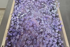 무연고자 될 뻔한 '영양겹핍 사망' 20개월 여아…무사히 장례 치러