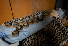 "엄마들 가는 곳이잖아" 옛말…'쑥뜸' 찾는 2030 '쑥', 이유는