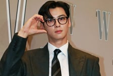 '탈세 논란' 차은우 법인, 강화도 땅 5730평 매입…축구장 3개 규모