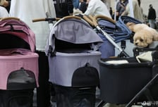 "우리 댕댕이 안 된대요"…'환영'이라던 식당 문 앞에서 막혔다, 왜?