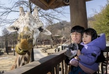 동물 관찰·직업 체험까지…에버랜드 '이큐브스쿨' 11일부터 모집