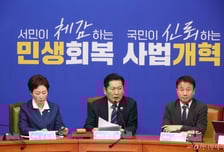 민주당, 7대 정상화 TF 가동…민생경제 대도약 특위도 구성