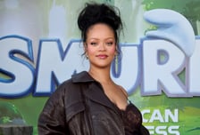 리한나 '180억' LA 저택서 총격 사건…30대 여성 용의자 검거