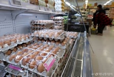 다음주 美 신선란 112만개 공급…홈플러스·메가마트서 한판 5790원