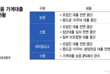 "가계대출 잡아라" 상호금융 집단대출 빗장