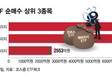 "다 잃어도 고" 일단 뛰어든다? 베팅하듯 투자...도박판 같은 증시