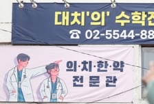 지역의사제 세부 요건 확정…서울 외 32개 의대, 정원 10% 이상 선발