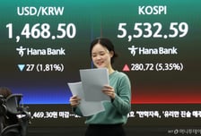'국민소득 5241만원' 분명 늘었는데…고환율에 달러 기준 '제자리걸음'