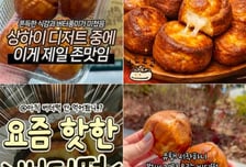 두쫀쿠·봄동 다음은 "이것 난리" 도배…자고 나면 바뀌는 억지 유행