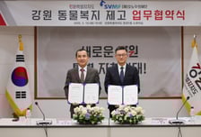 소노수의재단, 강원도와 유기묘 입양·반려동물 의료지원 확대