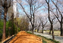 하남시, 관내 맨발길 25개소 개장…14일부터 본격 운영