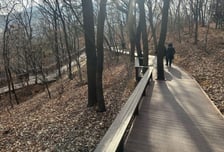 서초구, 도구머리근린공원 서측에 '힐링숲' 만든다