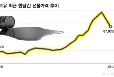 비축유 방출, 심리 개선 효과일 뿐…역대 최대 원유 공급난 해결 못해[오미주]