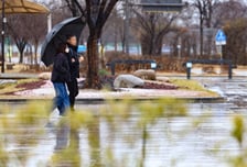 [내일 날씨] 동해안 중심 봄비·최대 15㎝ 눈…서쪽 공기질 탁해