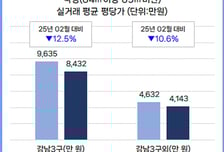 강남3구 아파트 국평 평당가 12.5% 하락…서울 평균보다 낙폭 커