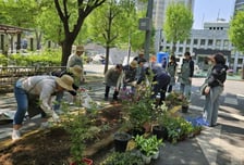 송파구, '서울시 최고' 정원 가꾸는 마을정원사 양성