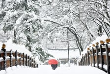 [내일 날씨] 동해안·경상권 눈비…강원 산지 최대 20㎝ 폭설