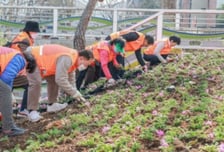 과천시, 굴다리길 보행로 새단장…시민이 만든 '꽃길'