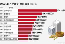 '반도체 투톱' 개미 팔고, 금융투자는 샀다