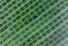 전라남도, 대한민국 수산업 생산량 전국 1위 다져