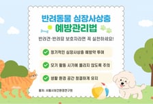 서울 도심 너구리 잡았더니 3마리 중 1마리 '개심장사상충'…국내 첫 확인
