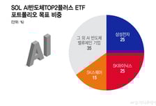 "삼전닉스는 믿어" 롤코에도 돈 몰린다…잇따라 등장한 ETF
