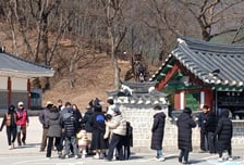 '왕사남' 배경지 영월, '농촌유학' 인기…"역사·자연 경험"