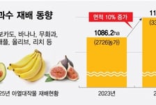 전남 신안 바나나, 제주 자몽·레몬...열대과일 판매 본격화