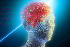 "머리 다쳐도 수술 안 해도 돼"…'이것' 코에 전달했더니 치료 끝