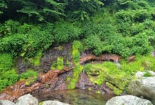 한라산 어리목계곡 용천지대, 자연유산 천연기념물 지정