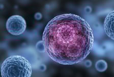 같은 민족인데..."북향민이 암 발생위험 더 높다" 왜?