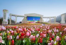 에버랜드 튤립축제 20일 개막…"120만 송이 봄꽃·서커스 즐기세요"