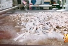 공장직원도 안먹는 표백닭발, AI 세뇌...中 소비자사기 적발 '충격'