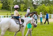 렛츠런파크 부산경남 말과 정서적 교감 '홀스테라피' 운영