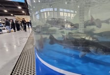 앞으로 동물원 수족관 관리 깐깐해진다…해양동물 복지 개선