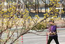 [오늘 날씨] 아침 추위 지나면 '포근'…중서부 미세먼지 '나쁨'