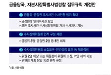 '금융검찰' 된 금감원