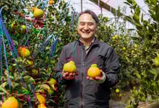 쿠팡, 한라봉 등 국산 만감류 20톤 매입으로 제주 농가 지원