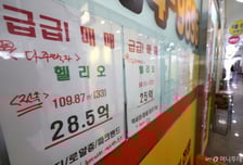 "보유세·건보료 다 오른다"…공시가 뛴 강남·한강벨트, 급매 쏟아지나