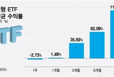 "이럴 때가 아니다"…ETF로 피신했던 개미들 다시 '참전'