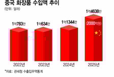 중국 화장품 수입 역대 최대…K뷰티 3가지 생존전략