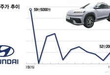 "2주 만에 돈 삭제" 비명, 환호로 바뀔까...현대차그룹주 다시 달린다