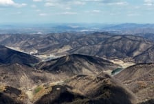 안동시, 산불피해지 '산림투자선도지구 지정' 추진