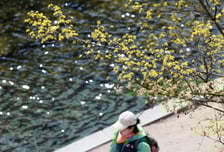 [오늘 날씨] 전국 맑지만 아침 '영하권'…일교차 15도 이상