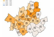 강남 집주인 속 타는데..."이 동네 집값 오른다" 웃는 곳은