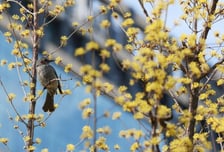 [내일 날씨] 토요일 전국 낮 12~18도 '포근'…미세먼지도 '보통'