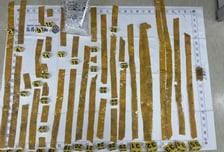 제주서 또, 벌써 '20번째'..."이것 보이면 절대 만지지 마세요"