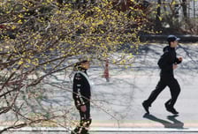 [내일 날씨] 낮 최고 19도, 일교차 크다…미세먼지 '보통'