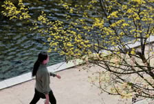 [오늘 날씨] 아침엔 '쌀쌀', 낮에는 '포근'…최고기온 19도