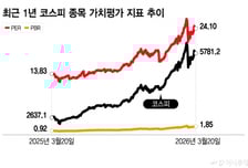 "알짜 떼고 주가 3분의 1토막" 분통…'코리아 디스카운트' 키운 중복상장